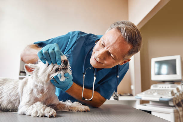 Best Same-Day Emergency Appointments in Prince George, VA